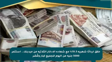حقق أرباحًا شهرية 19.5% مع شهادة الادخار الثلاثية من ميدبنك.. استثمر 5000 جنيه من اليوم للجميع كبار وقُصّر
